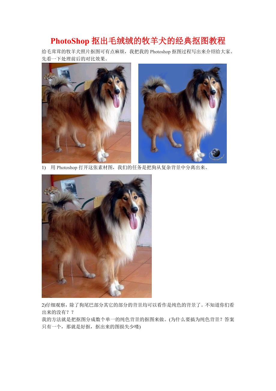 PhotoShop抠出毛绒绒的牧羊犬的经典抠图教程.doc_第1页