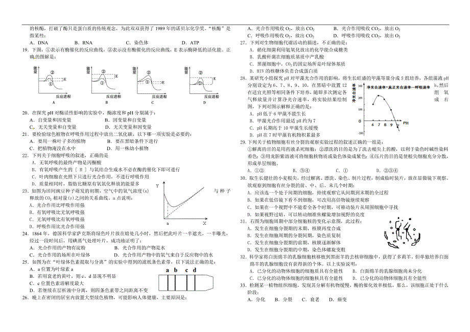 人教版高一生物必修1期末试卷.doc_第2页