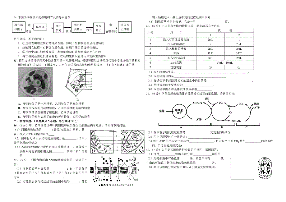 人教版高一生物必修1期末试卷.doc_第3页