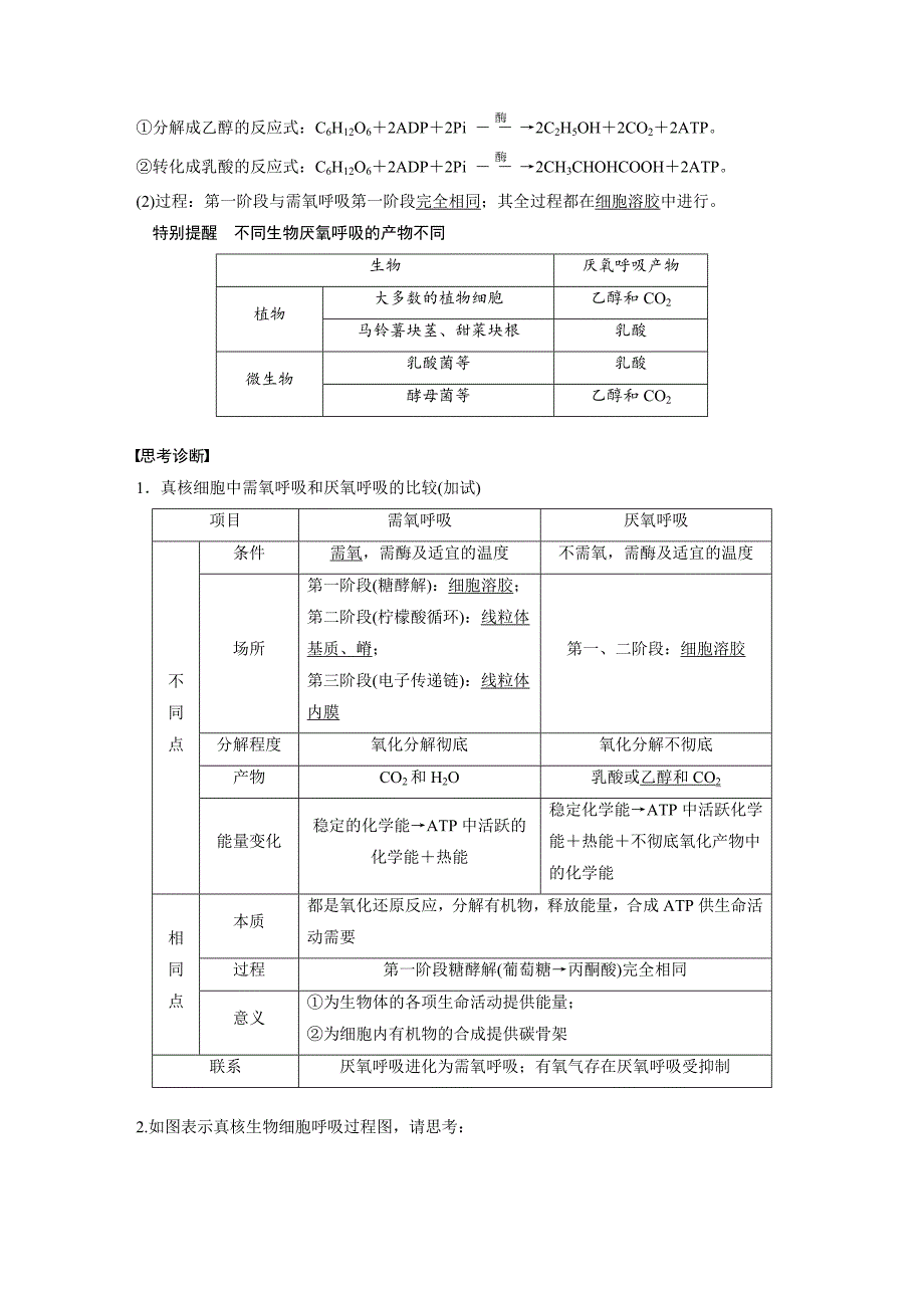 第2单元第8讲细胞呼吸.docx_第2页