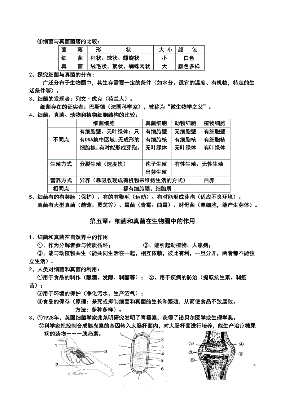 人教版八年级生物上册总复习提纲-（最终版）_第4页