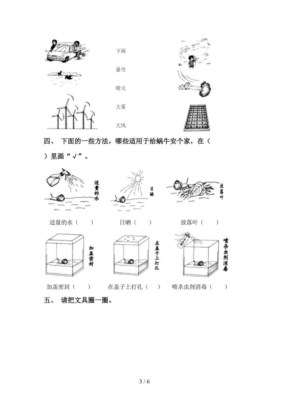 大象版一年级科学上册期中考试卷一.doc_第3页