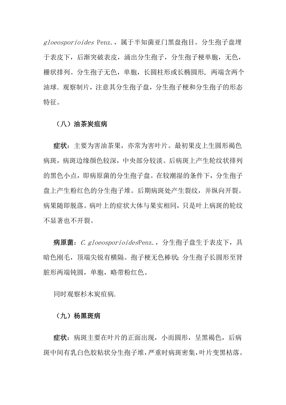 一些树种病虫害.doc_第4页