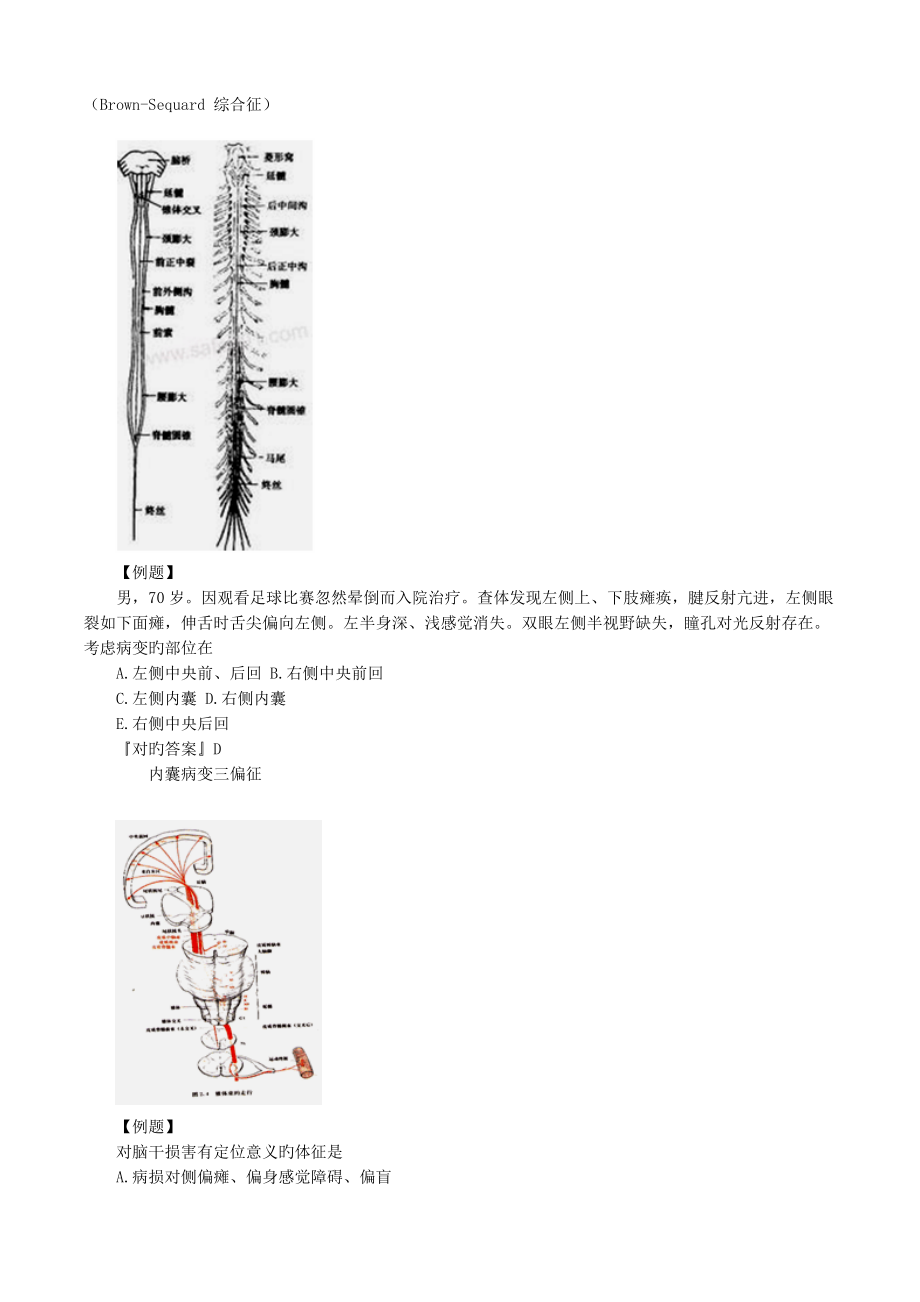 2023年执业医师考试重点精神神经系统.doc_第4页