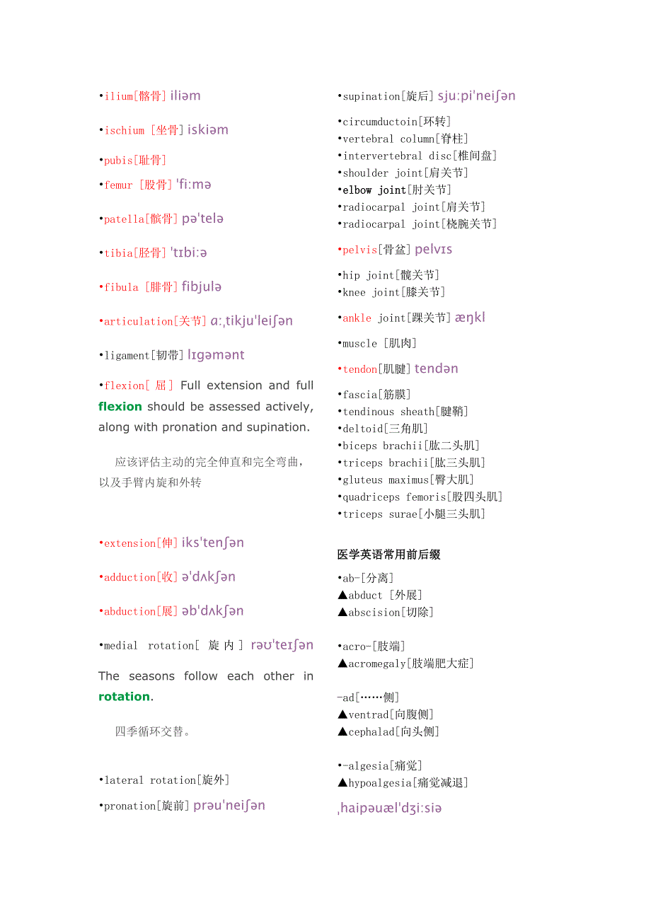 骨科常用英语词汇 (2).doc_第2页