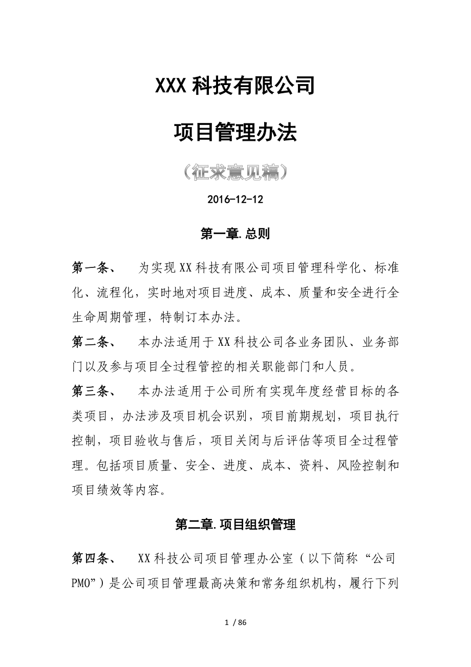 某科技有限公司项目管理办法.docx_第1页