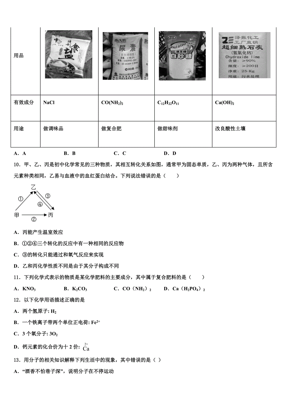 2023届甘肃省平凉市中考化学五模试卷（含答案解析）.doc_第3页