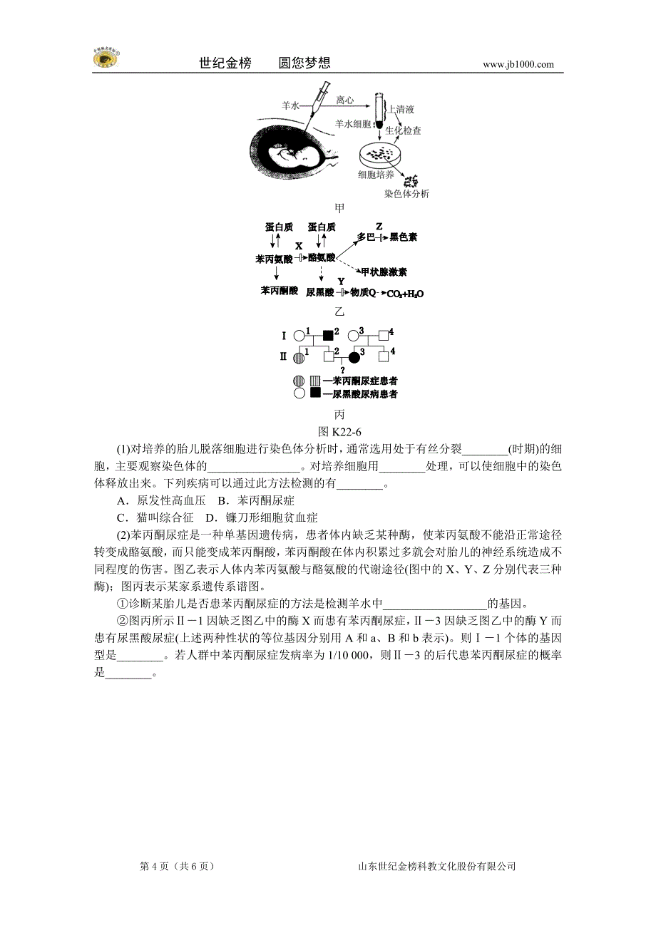 2014届高三一轮复习：第22讲 遗传与人类健康(含详解)(浙江).doc_第4页