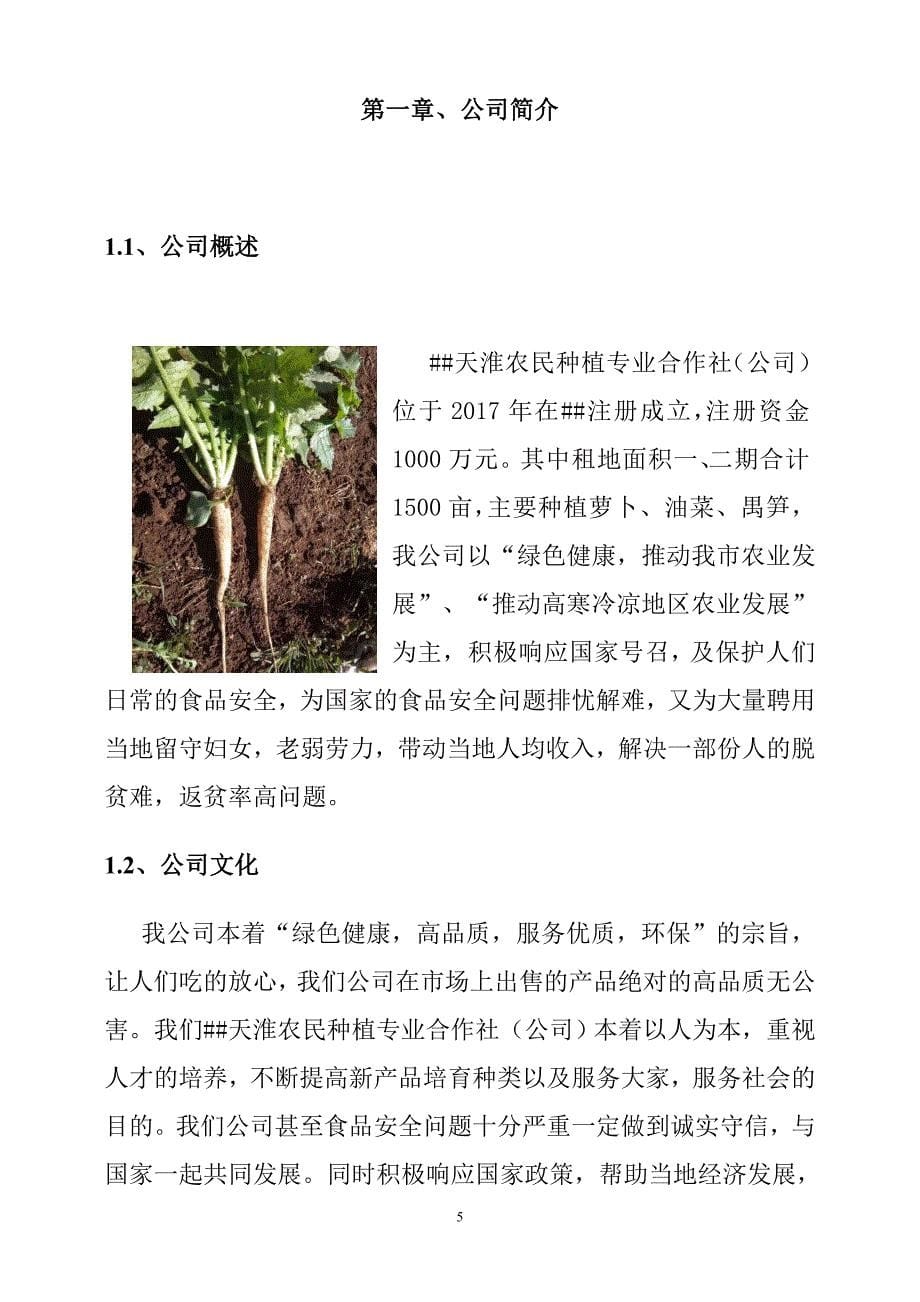 天淮农民种植专业合作社商务计划书.docx_第5页