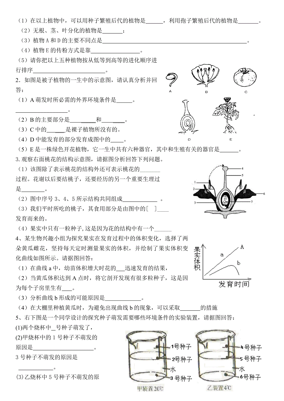 七上被子植物的一生及三大作用学案2013.doc_第3页