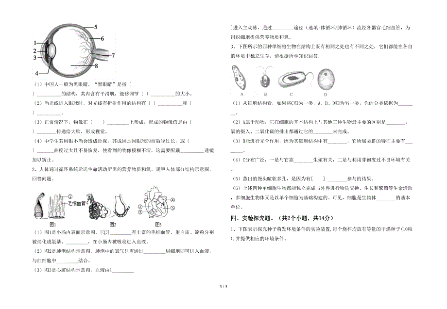 初中七年级生物上册期末测试卷及参考答案.doc_第3页