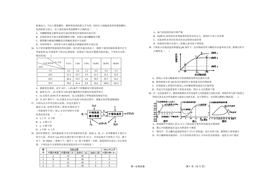 生物试题定稿.doc_第4页