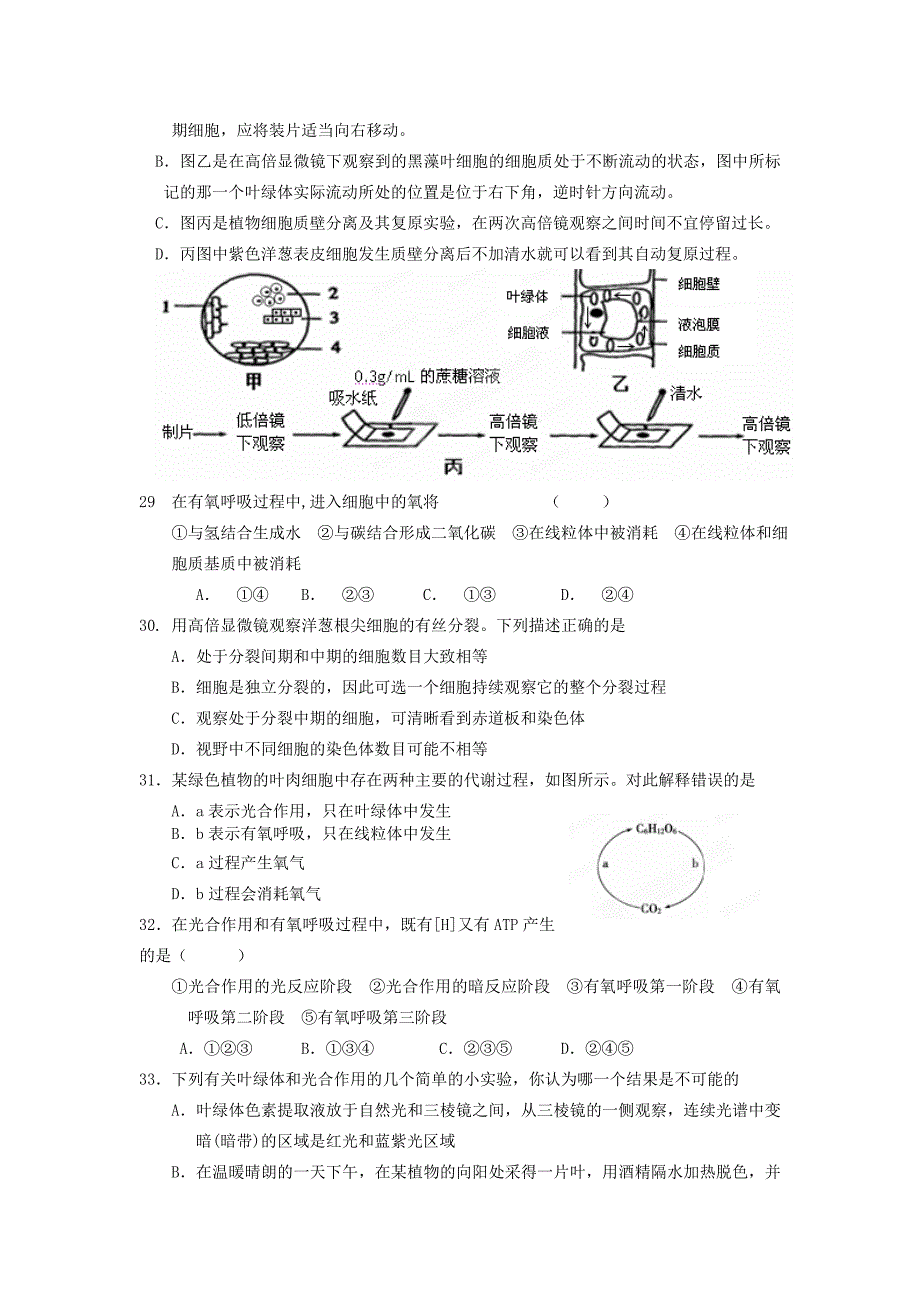 高中生物测试题.doc_第5页