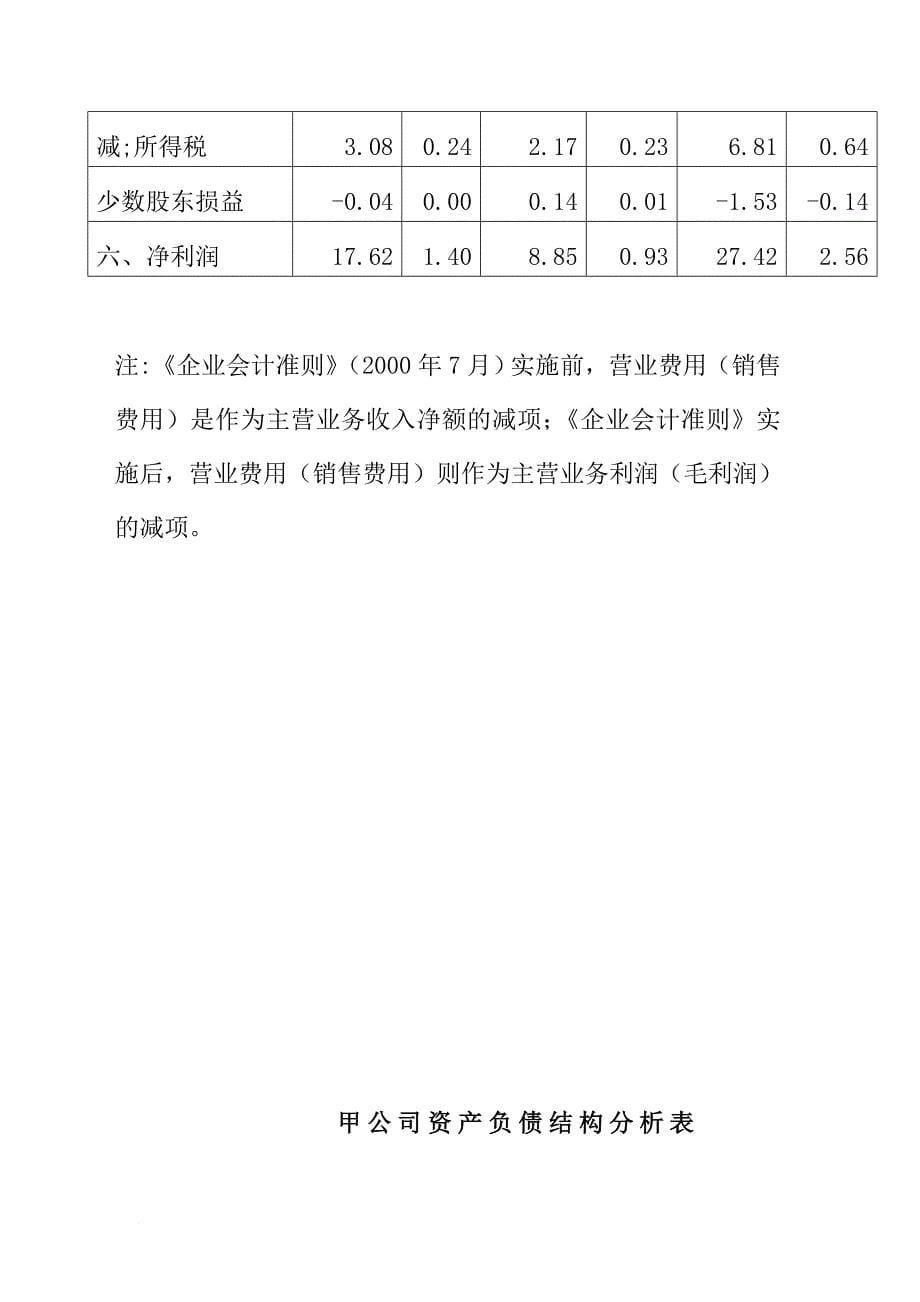 某公司资产负债表管理分析_第5页