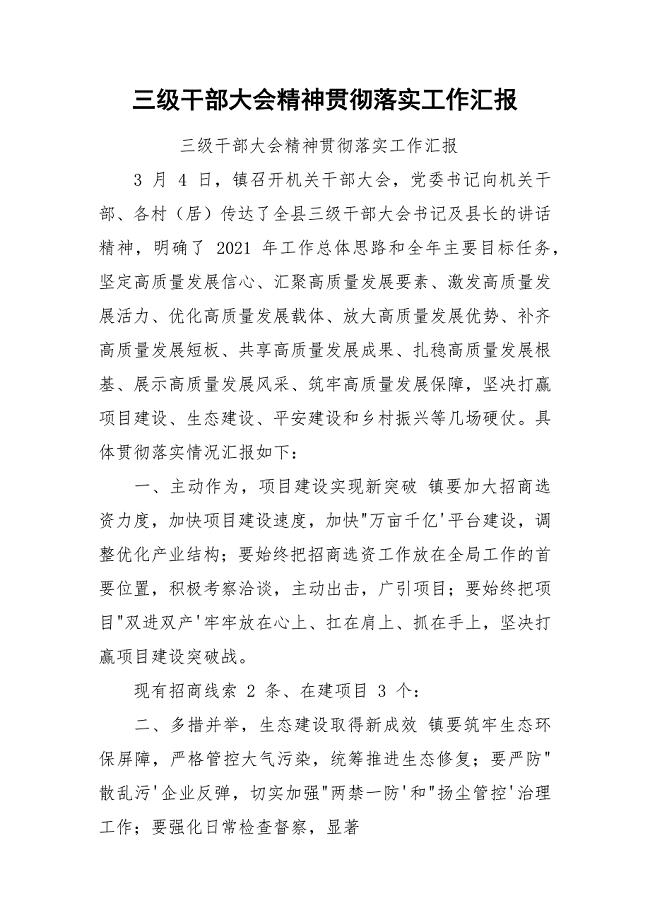 三级干部大会精神贯彻落实工作汇报.docx