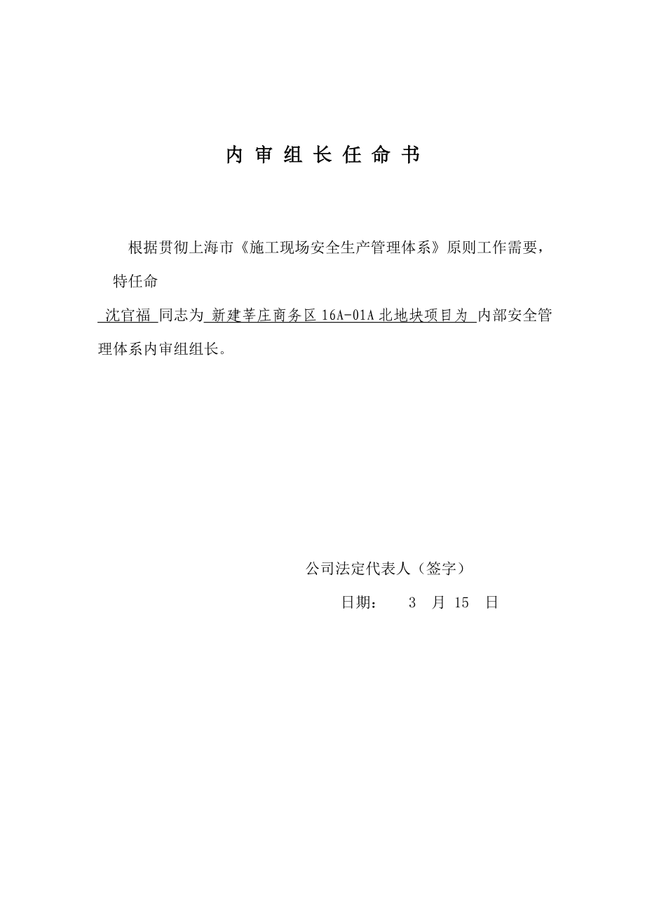 安保体系送审资料.doc_第2页