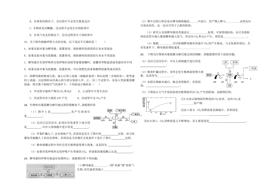 细胞呼吸练习2.docx_第3页