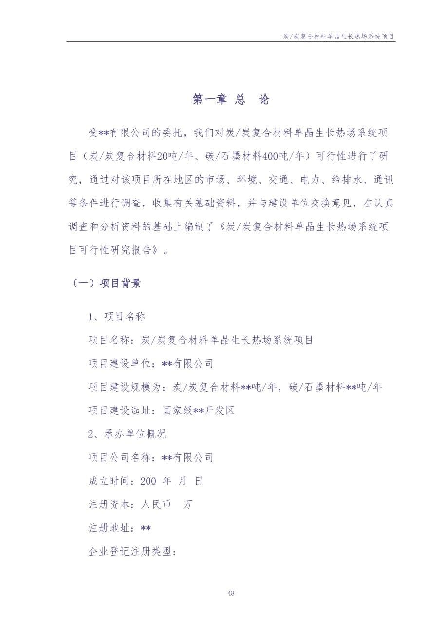 某高科技术新型复合材料可行性研究报告 (2)（天选打工人）.docx_第5页