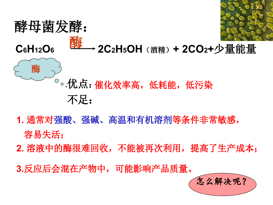 酵母细胞的固定化课件_第2页