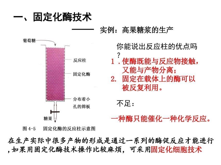 酵母细胞的固定化课件_第5页