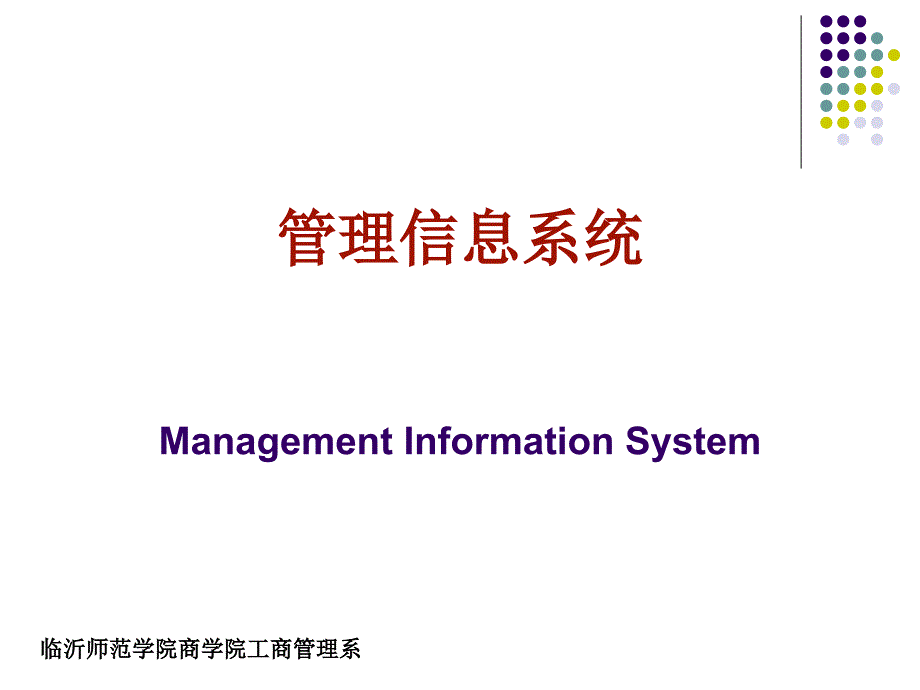 《管理信息系统概述》PPT课件_第1页