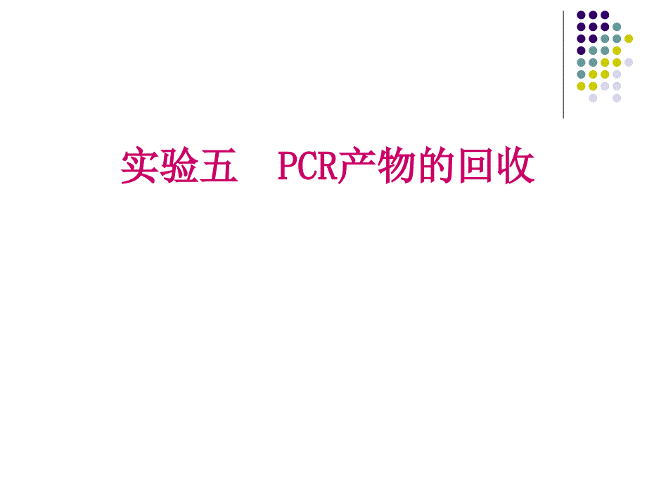 第五章 PCR产物的回收_第1页