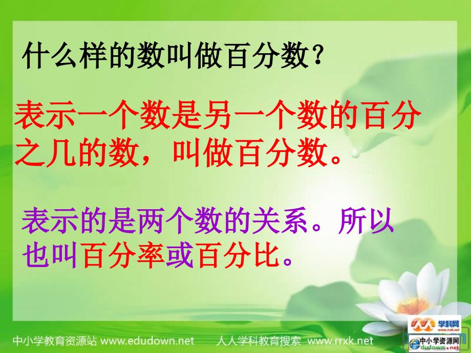 北京版数学六上百分的意义ppt课件_第3页