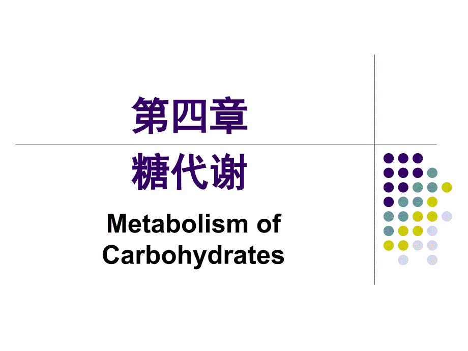第四章糖代谢A_第2页