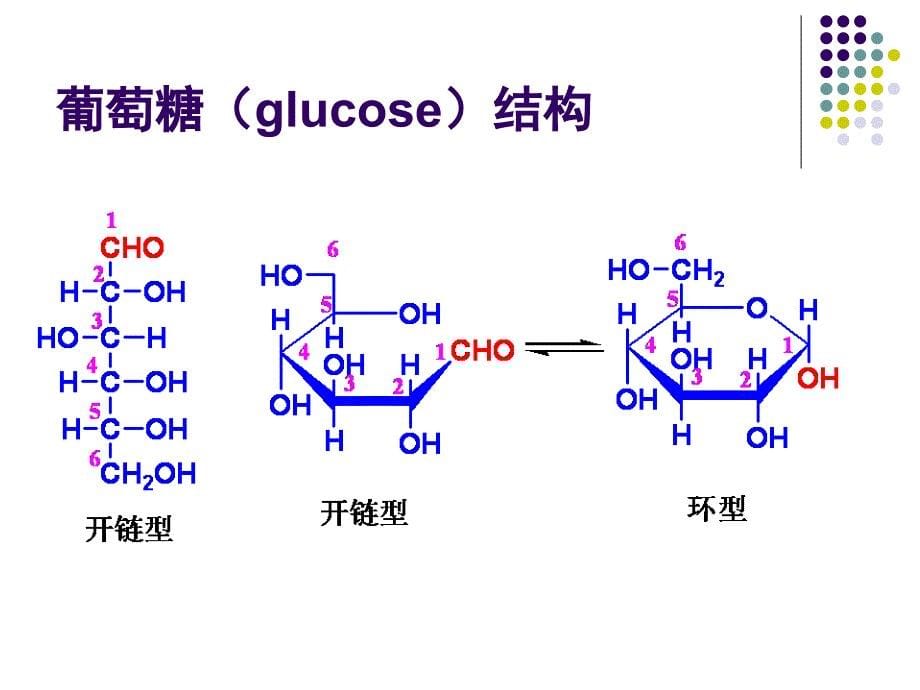 第四章糖代谢A_第5页