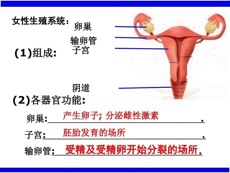 七年级下科学第一章复习_第5页