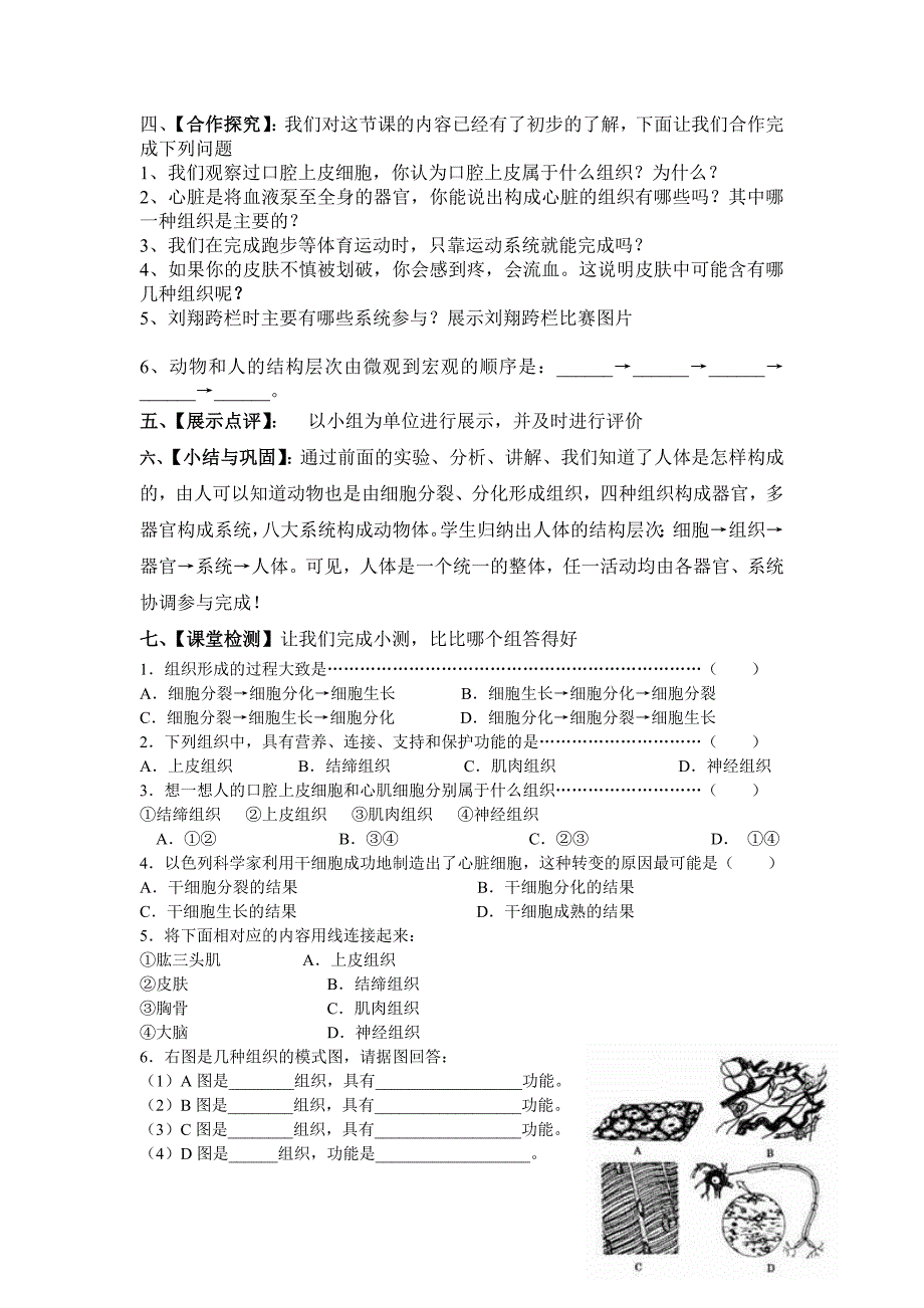 11动物的结构层次教案.doc_第3页