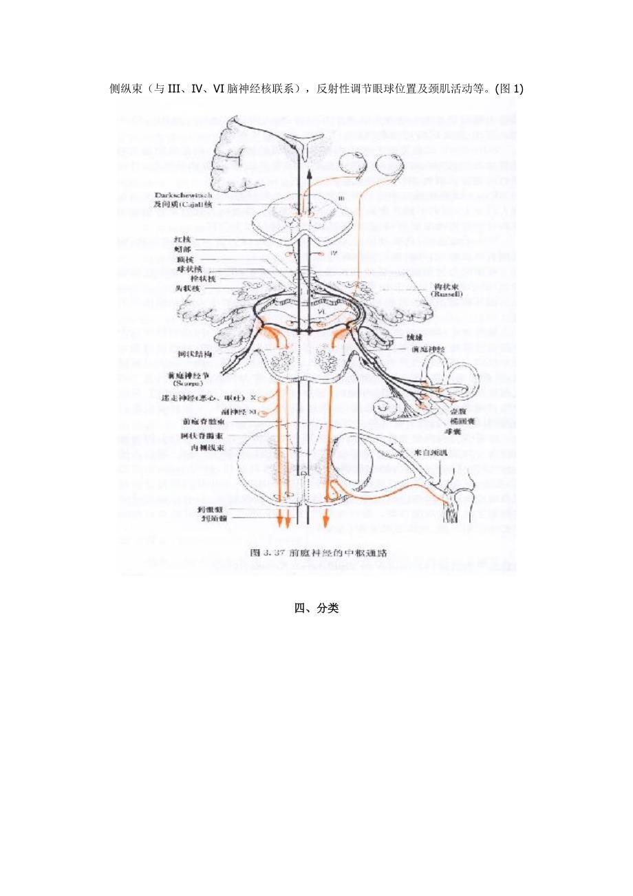 眼震对于诊断眩晕疾病的作用.doc_第3页