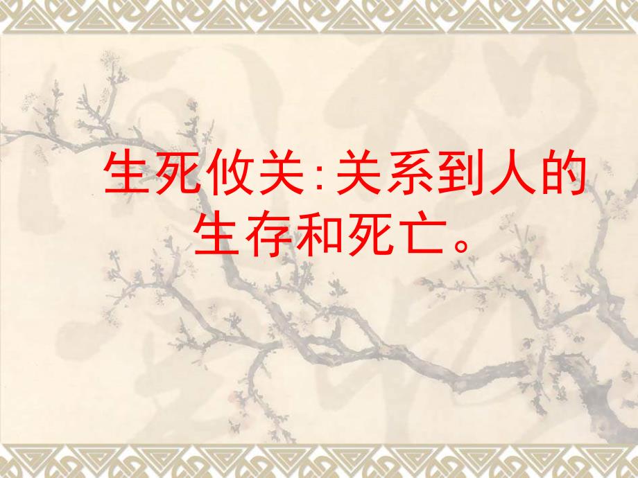 语文A版第六册生死攸的烛光ppt课件2_第2页