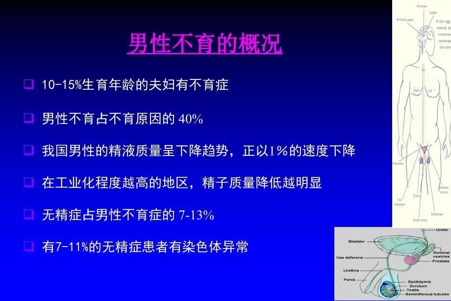 男性不育与辅助生殖技术教学_第5页