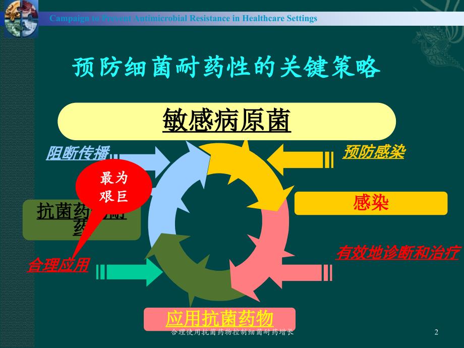 合理使用抗菌药物控制细菌耐药增长课件_第2页