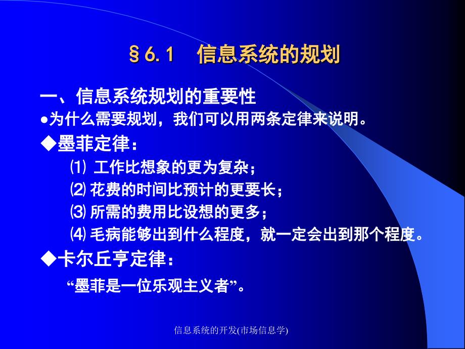 信息系统的开发市场信息学课件_第2页