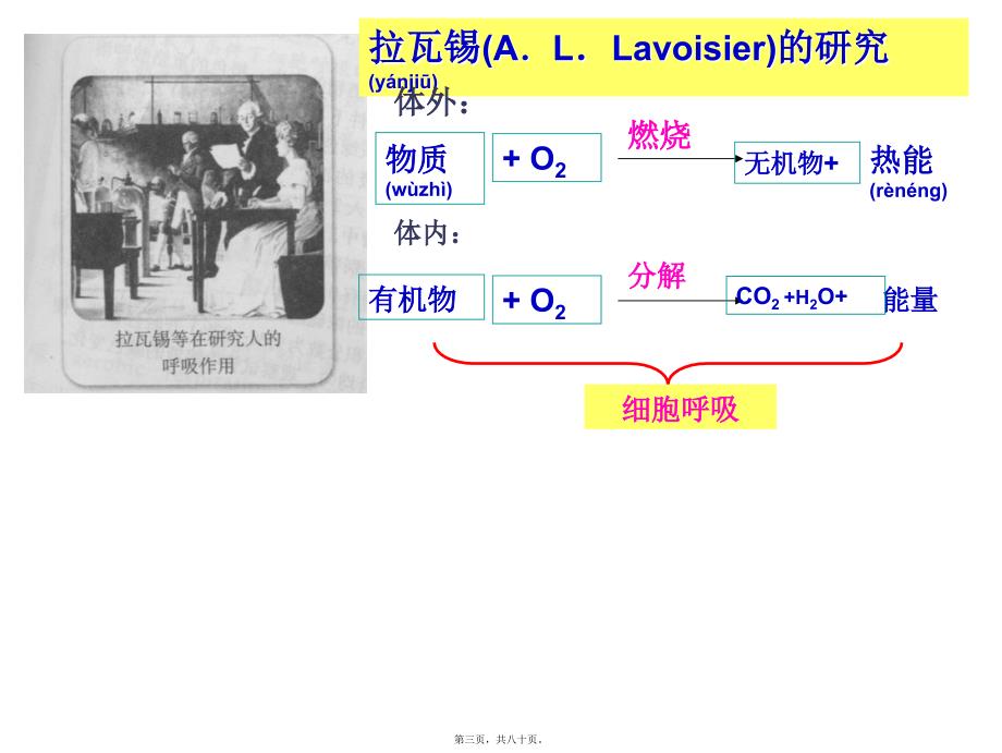 医学专题—第3节-ATP的主要来源——细胞呼吸第一课时分解3037_第3页