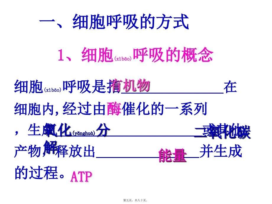 医学专题—第3节-ATP的主要来源——细胞呼吸第一课时分解3037_第5页