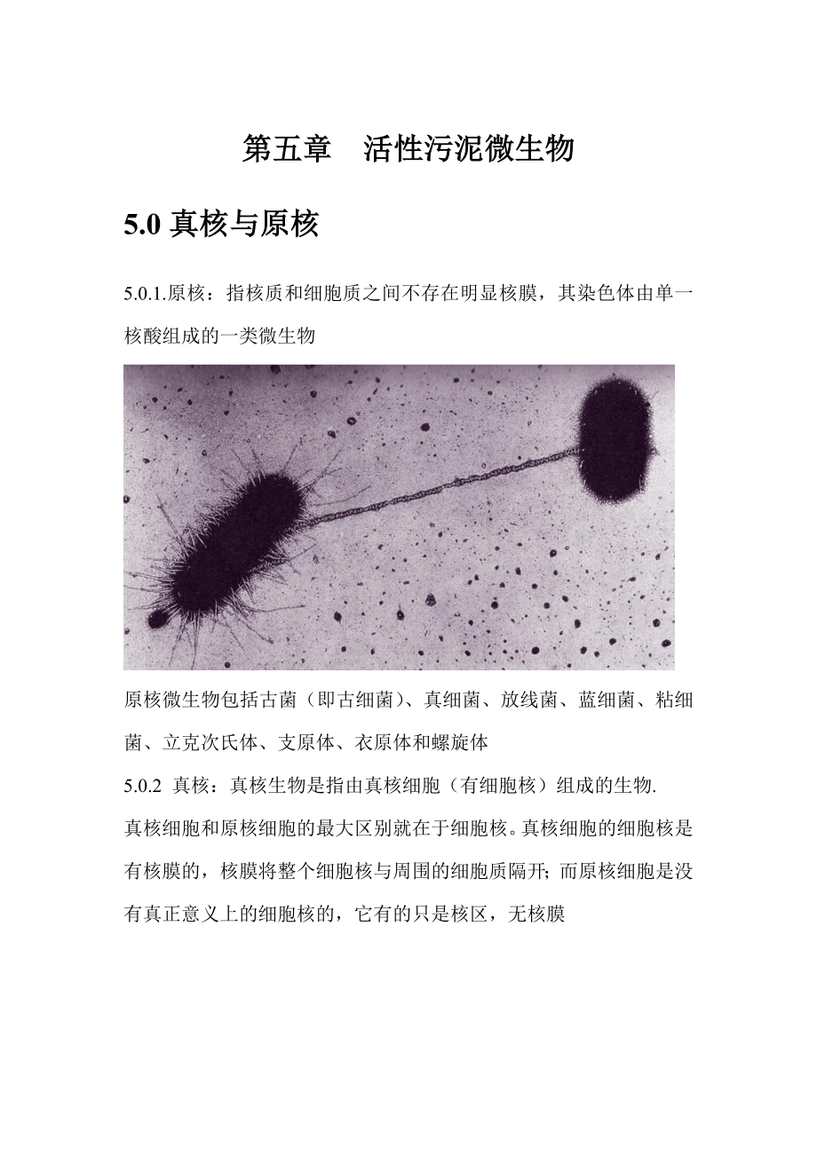 第五章 活性污泥中的微生物.doc_第1页