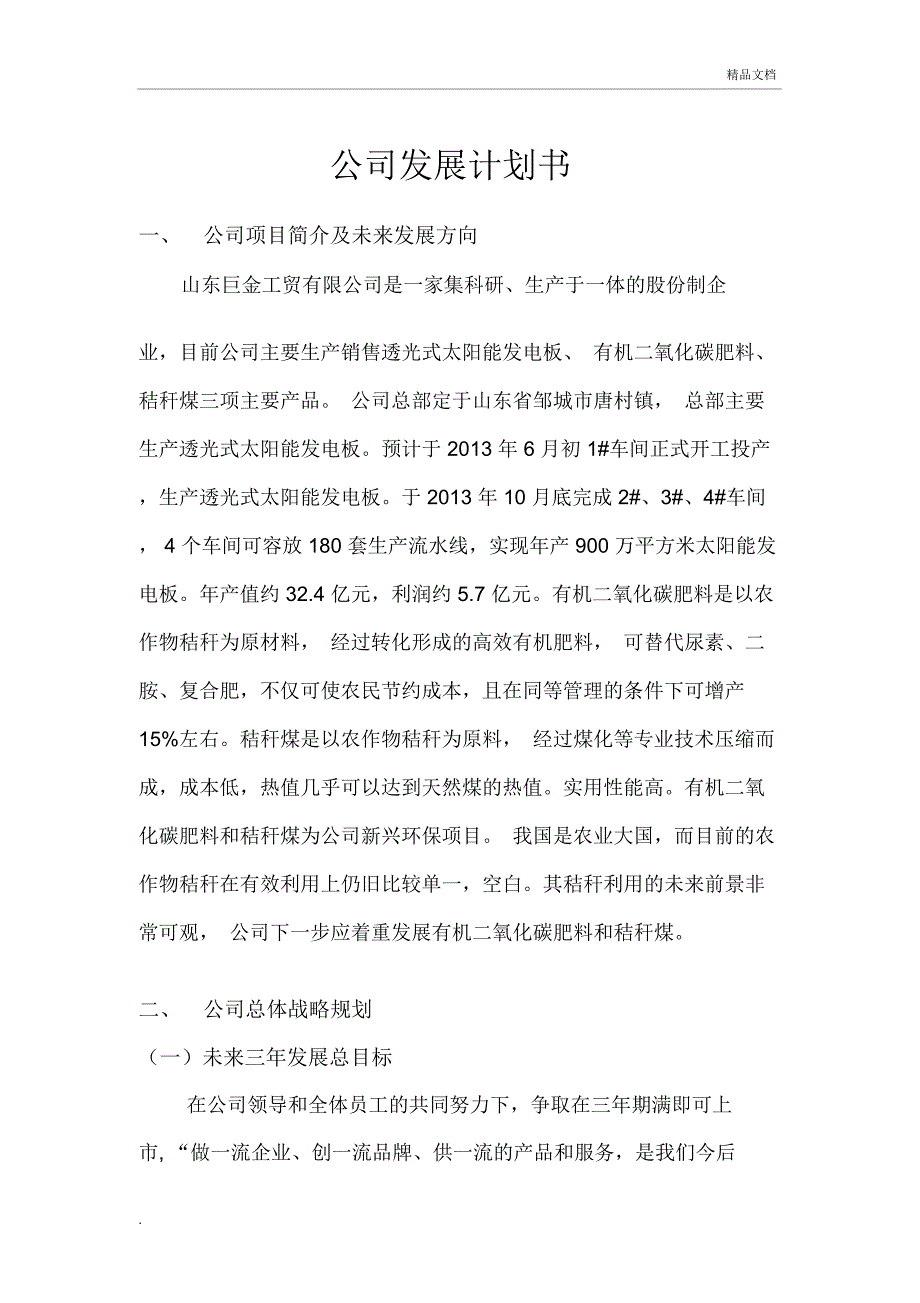 公司发展计划书_第1页