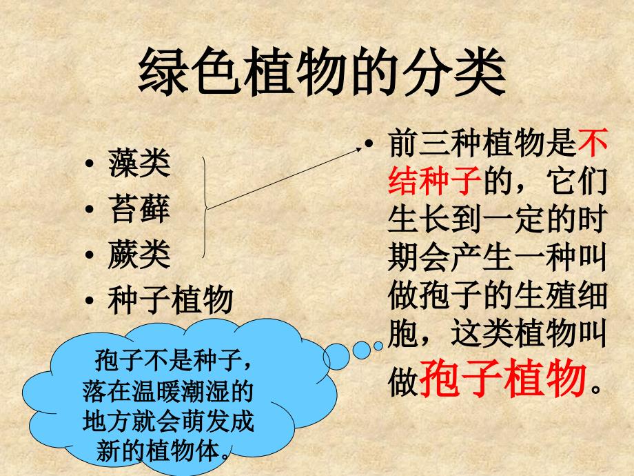 第一节_藻类_苔藓和蕨类植物_第3页