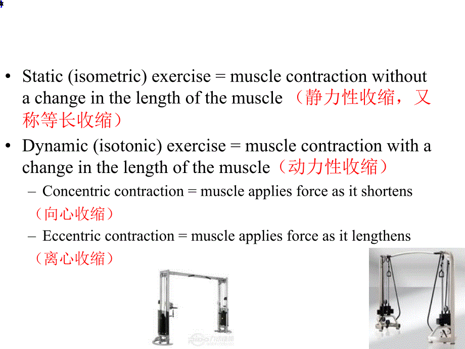 运动生理学——5肌肉收缩形式与力学特征 课件.ppt_第4页