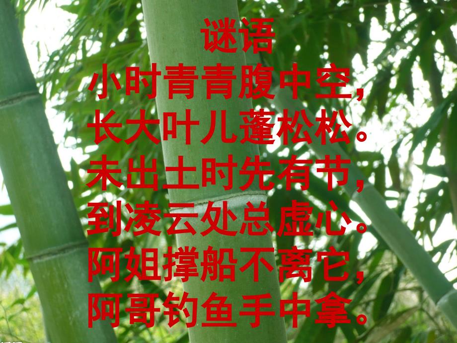 竹乡之歌上传课件_第1页