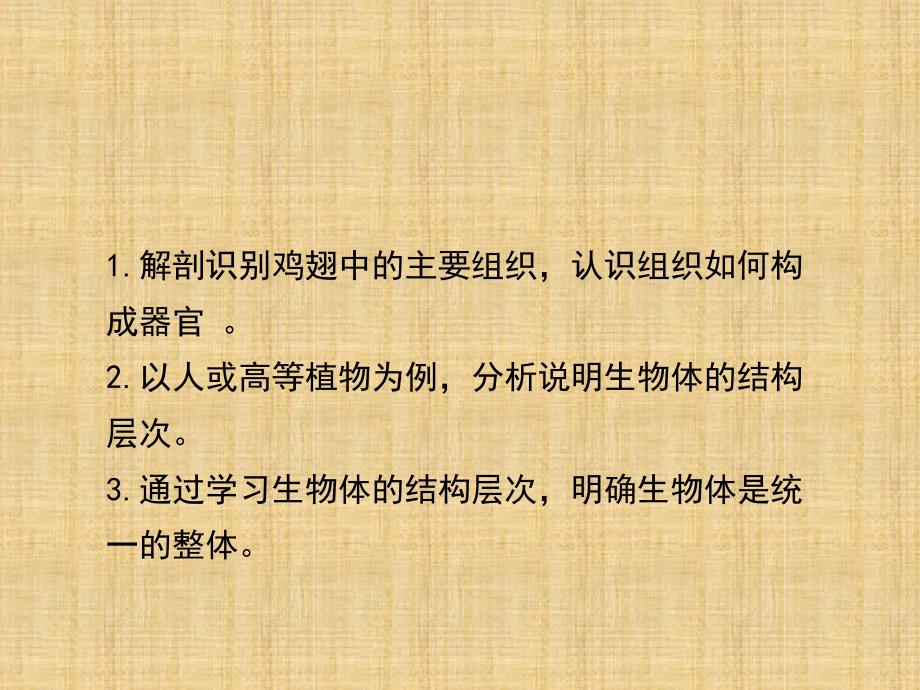 初中七年级生物上册242生物体的器官系统名师优质课件2新版新人教版_第3页