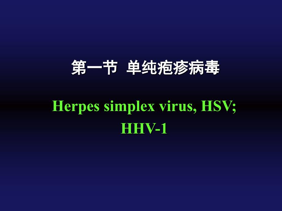 人疱疹病毒HumanherpesvirusesHHV_第3页