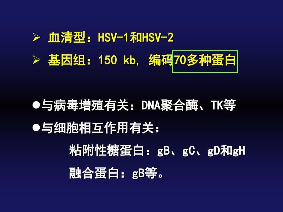 人疱疹病毒HumanherpesvirusesHHV_第5页