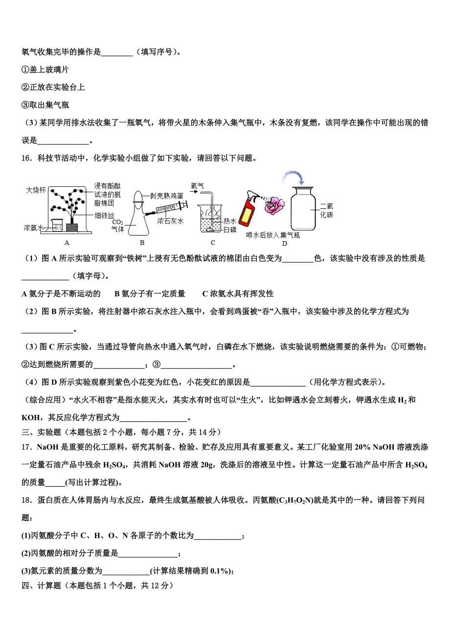 2023届河南省舞钢市化学九上期末学业水平测试试题含解析.doc_第5页