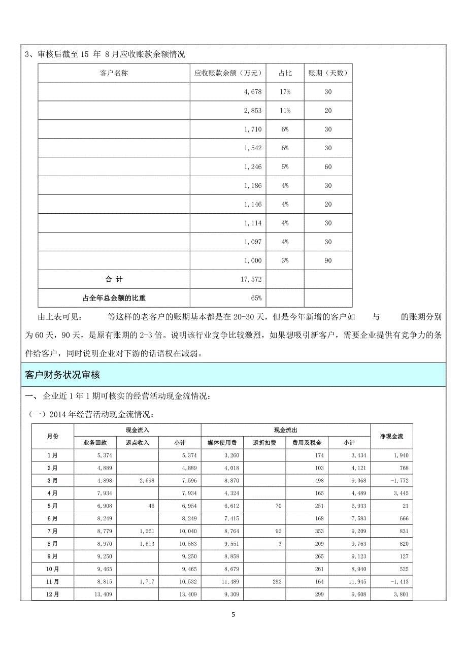 商业保理项目审核报告_第5页