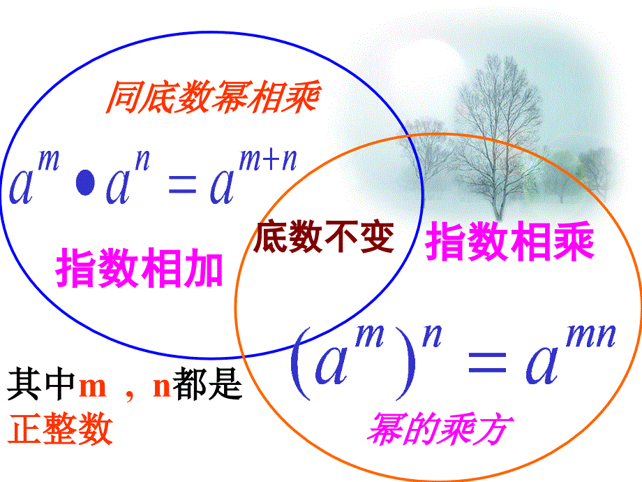 整式的乘法与因式分解复习_第4页