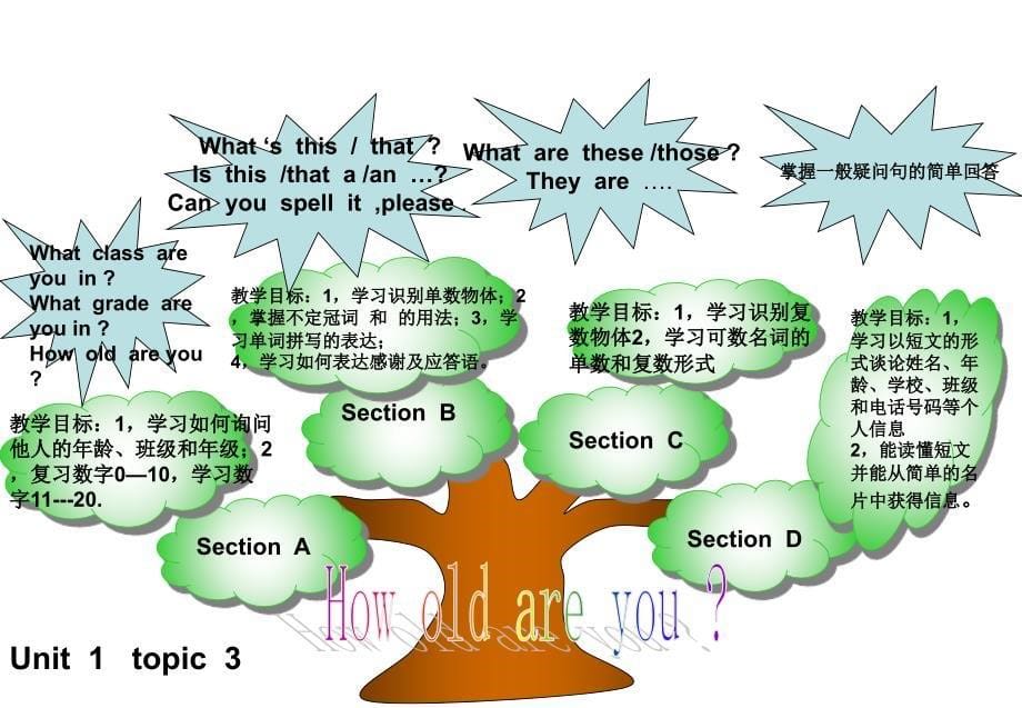 七年级上英语知识结构图（人教版）_第5页